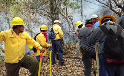 102 people fighting forest fire in Tepoztlán
