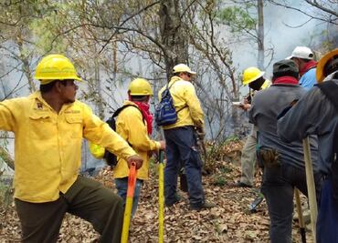 102 people fighting forest fire in Tepoztlán