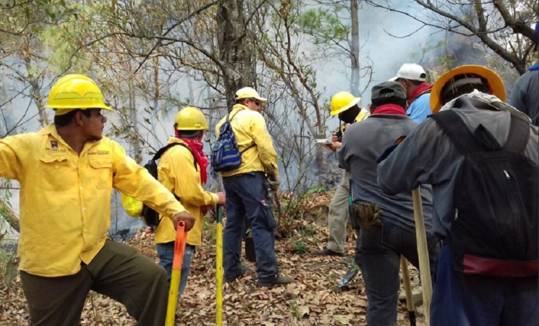 The fire could have been started by agricultural burning that spiraled out of control. (Photo: Taken from Twitter @CEECA_Morelos)