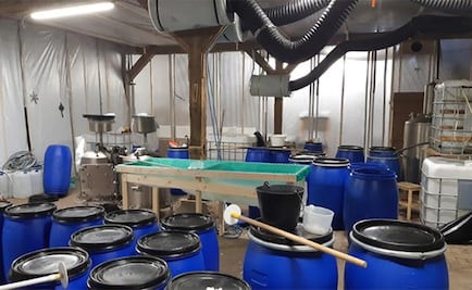 Árbol derrumbado descubre laboratorio de cocaína en Holanda