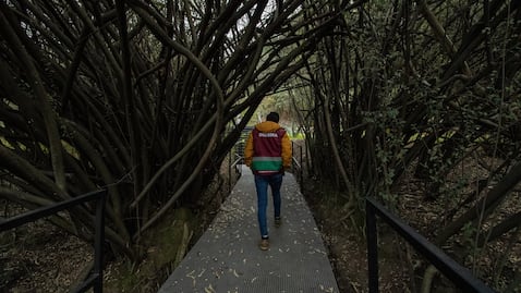 ¿Qué es el circuito Serpientes y escaleras en Chapultepec?