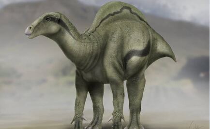 Hallan en España una nueva especie de dinosaurio