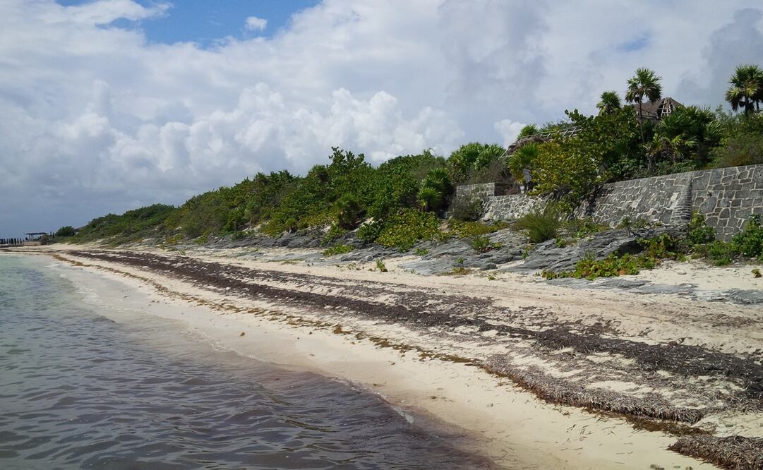 Foto: Adriana Varillas / EL UNIVERSAL