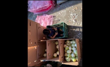 FOTOS: “Hay infantes trabajando en la Central de Abasto”; buscan autoridades eliminar trabajo infantil