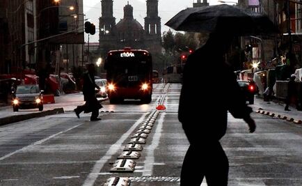 Lluvia tira 4 árboles, una barda y un anuncio en DF