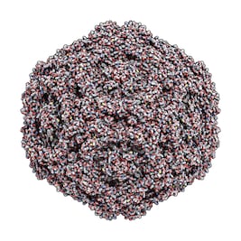 Construyen partículas virales para mejorar terapias