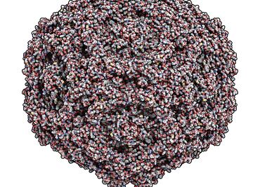 Construyen partículas virales para mejorar terapias