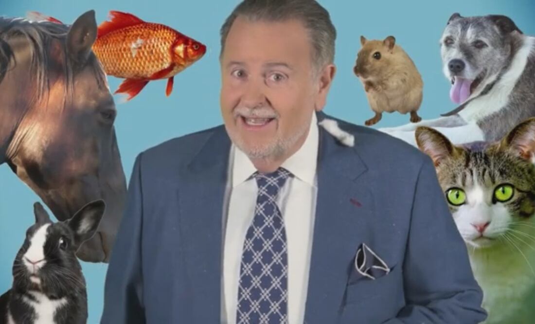 Raúl de Molina. Foto: Captura video