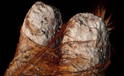 Dos personas participaron en asesinato de Ramsés III