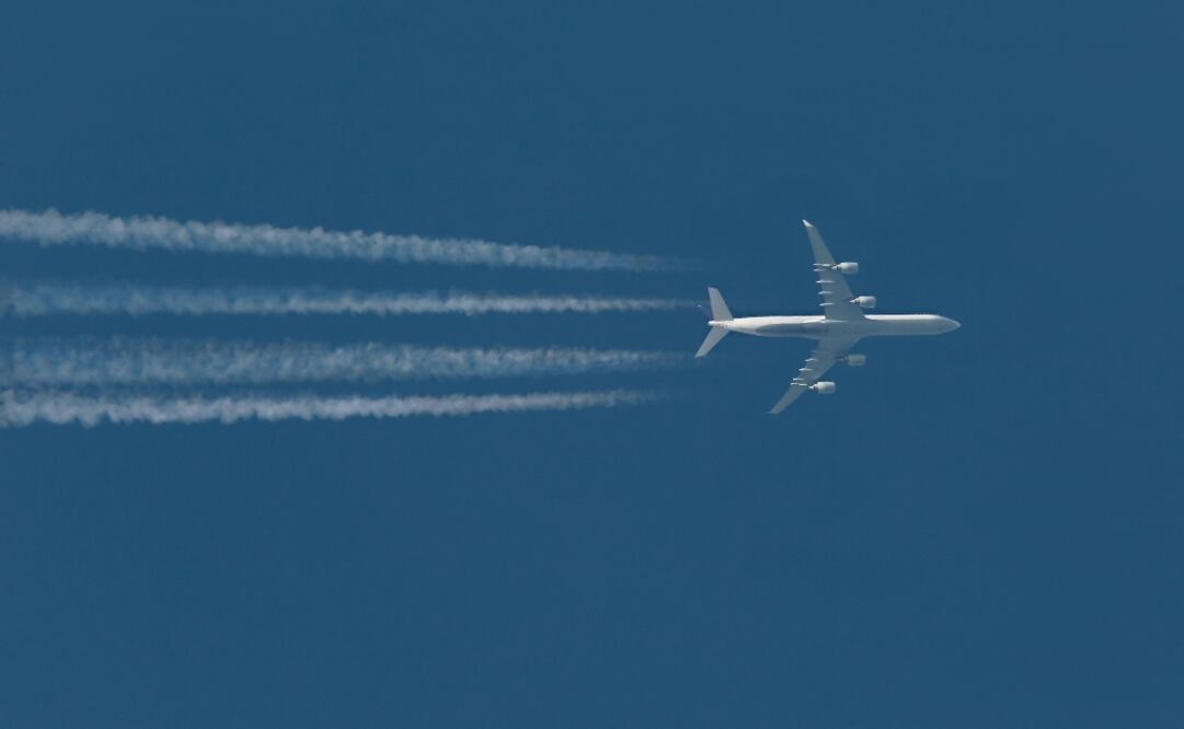 Foto ilustrativa: Archivo/EL UNIVERSAL 