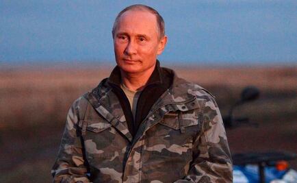 Vladimir Putin participa en misión para rescatar a caballos salvajes