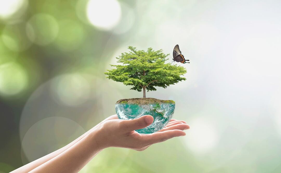 El 22 de abril se celebra el Día Internacional de la Madre Tierra./ Fotos: Istockphoto