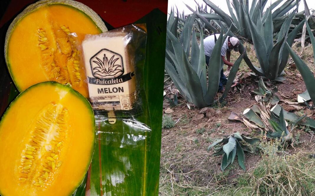 Hay sabor maracuyá, piña, mamey y hasta tecojote. Crédito: FB Pulcaleta