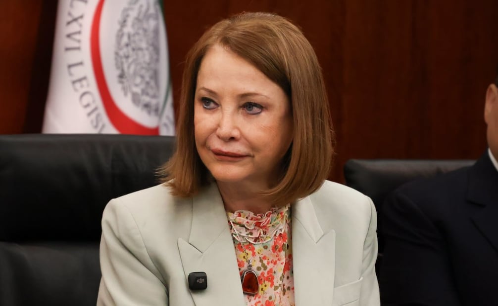 Laura Itzel Castillo Juárez, presidenta del Senado de la República. Foto: Especial