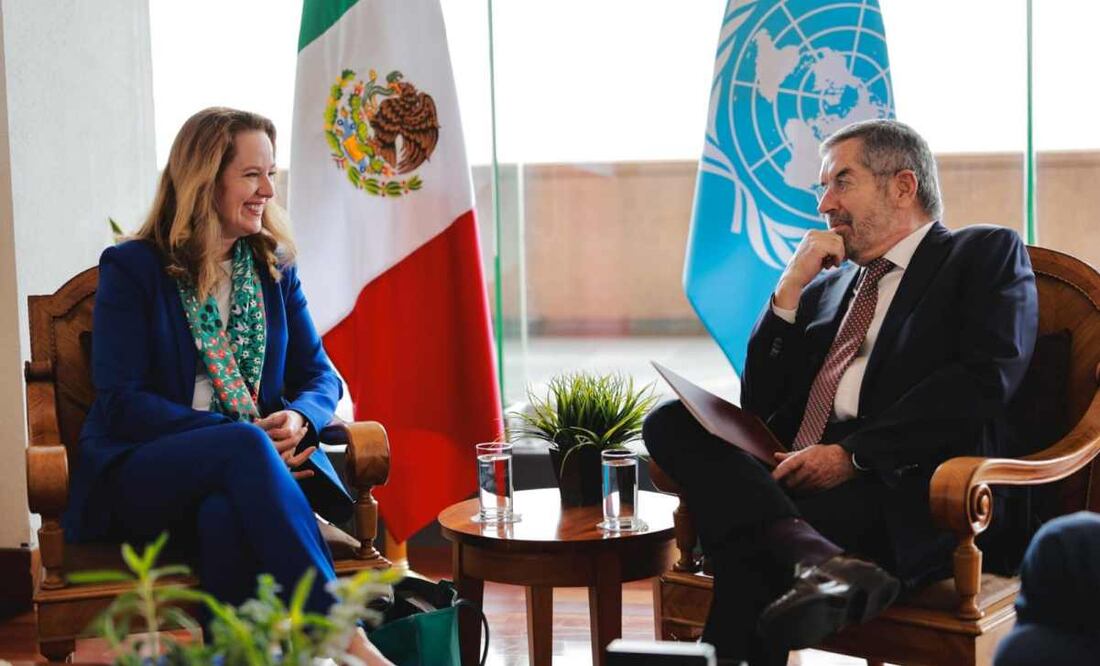Juan Ramón de la Fuente, titular de la Secretaría de Relaciones Exteriores (SRE). Foto: Especial.