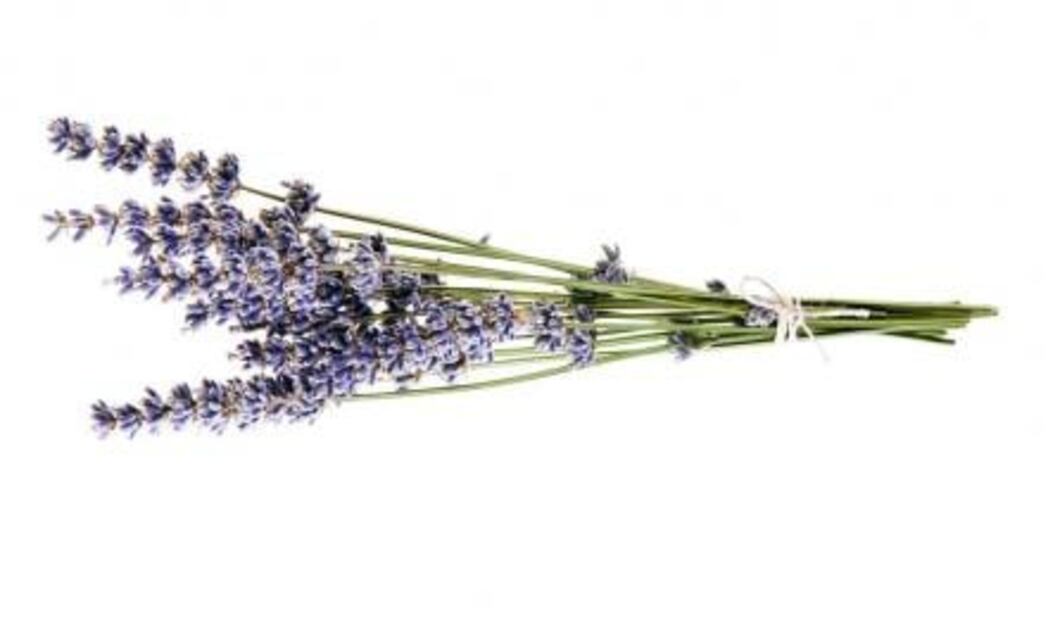 5 infusiones para calmar los nervios