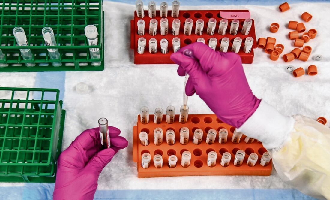 A lab technician sorts blood samples for a COVID-19 vaccination study – Photo: Chandan Khanna/AFP