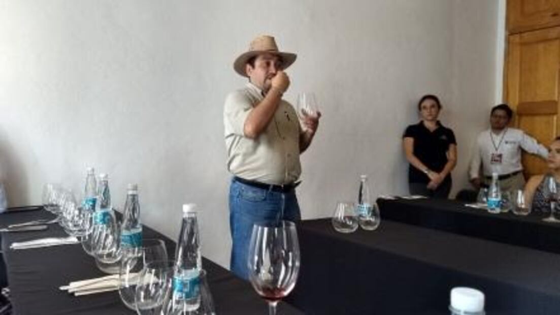 Ya viene la fiesta del vino en Oaxaca: Fevo 2018