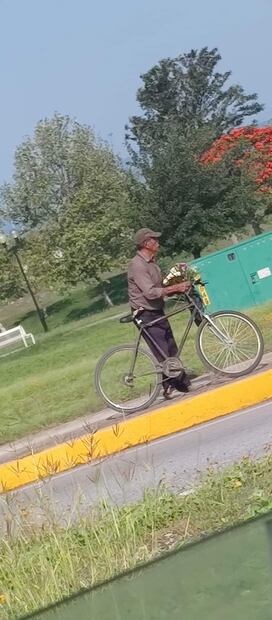 Don Aniceto Colunga Baez, de 84 años de edad, tomó su bicicleta y se dirigió al panteón para llevarle flores a su esposa por ser Día de las Madres, después desapareció. Foto: Especial