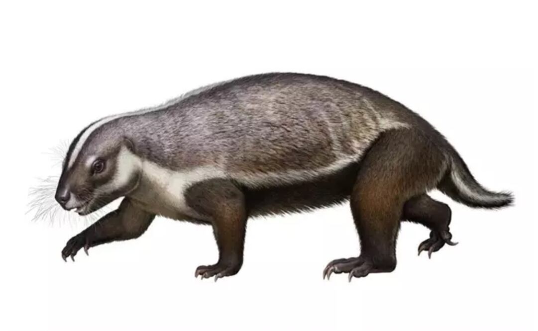 Recreación de adalatherium. Foto: Andrey Atuchin vía Europa Press 