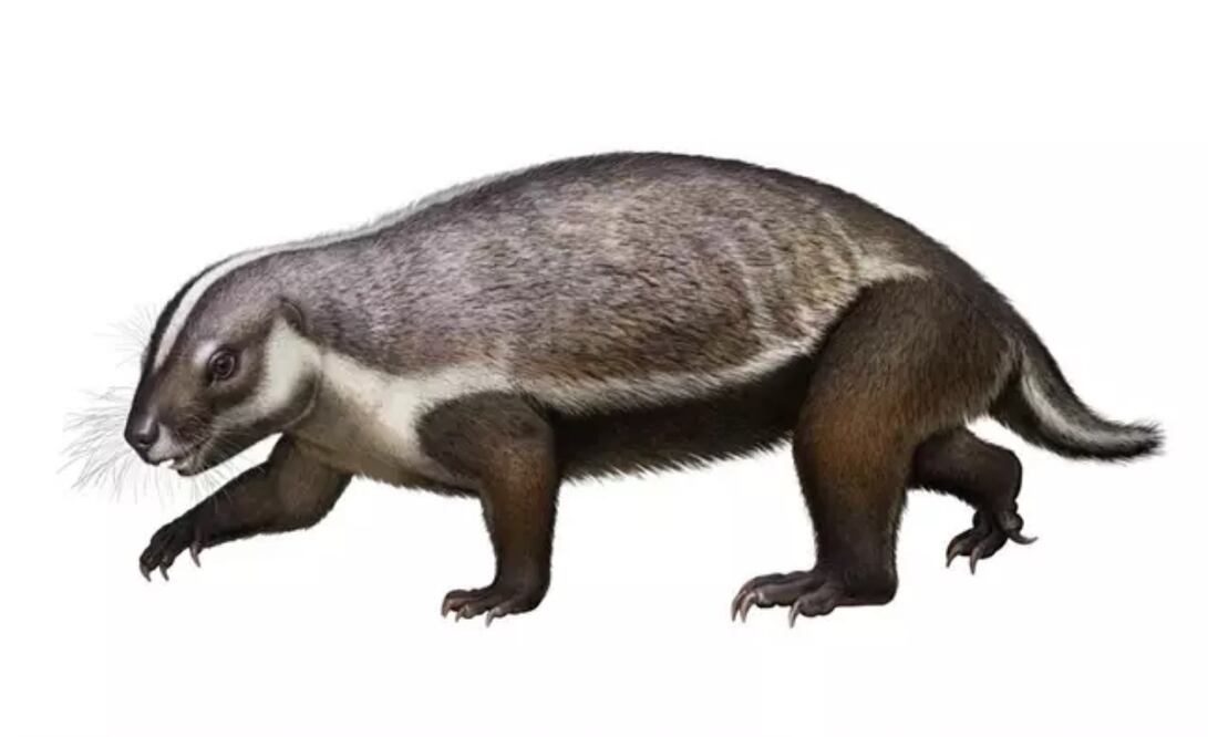 Recreación de adalatherium. Foto: Andrey Atuchin vía Europa Press