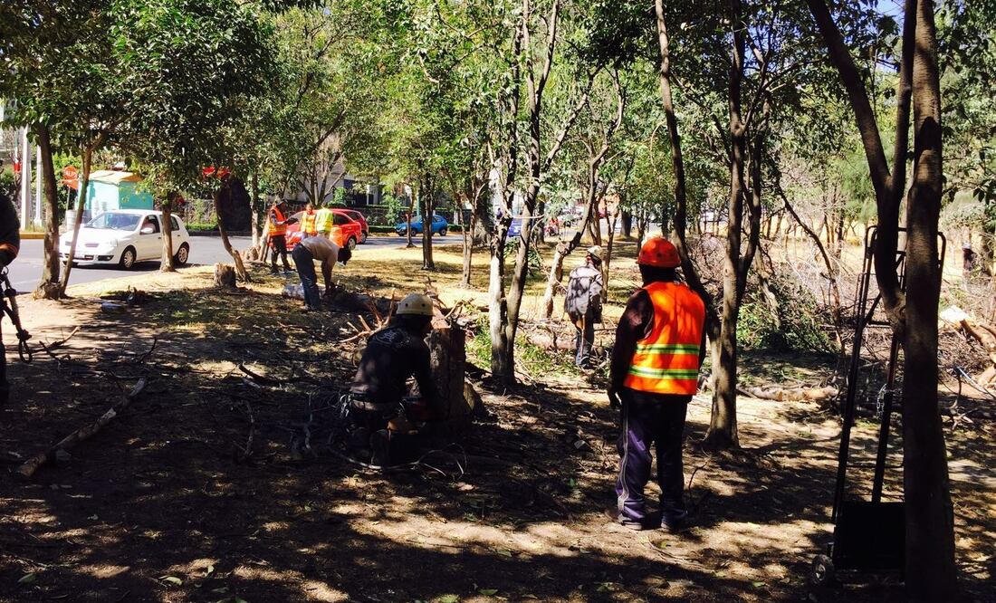 Foto: Juan Manuel Barrera / El Universal