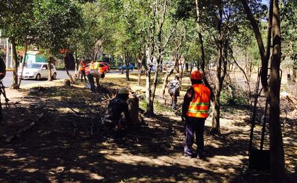 Camiones de basura recorren día y noche Naucalpan