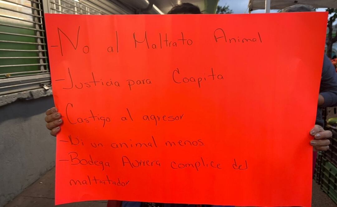 Realizan protesta frente a supermercado de Tlalpan por agresión de policía a perrita (10/07/2025). Foto: Especial