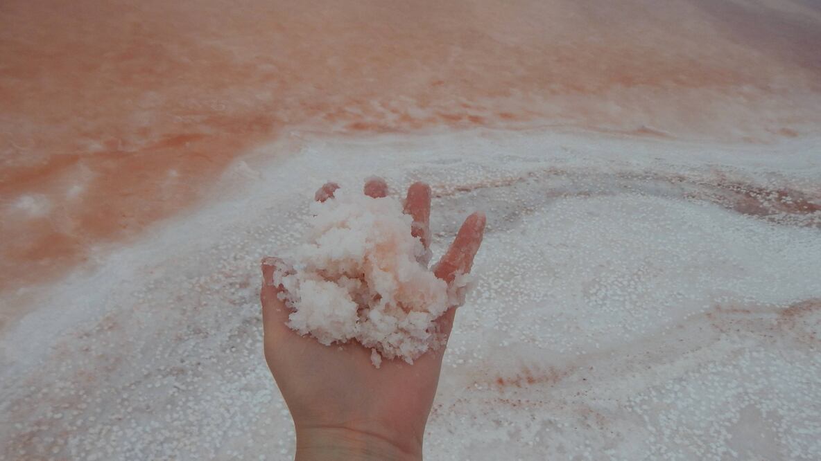 Fotos: Raquel del Castillo García