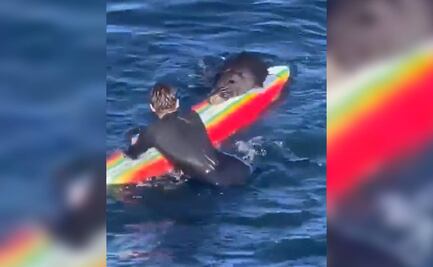 Nutria que muerde, araña y roba aterroriza playas de California