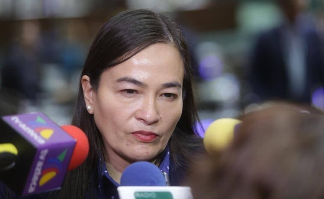 Verónica Juárez Piña, coordinador del PRD en San Lázaro. Foto: Especial 