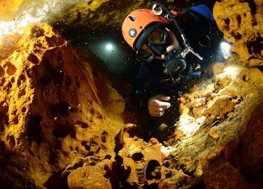 Hallan restos de osos de la Edad de Hielo en cueva de Quintana Roo