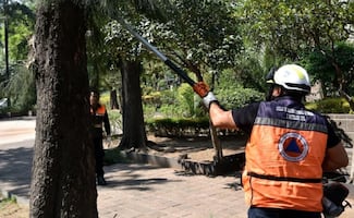 Rehabilitan Parque de la Bola en Benito Juárez; retiran árboles de riesgo y refuerzan alumbrado y drenaje