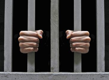 Reo de Sonora se fuga en contenedor de basura