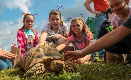 ¿Por qué se celebra el Día de la Tierra?