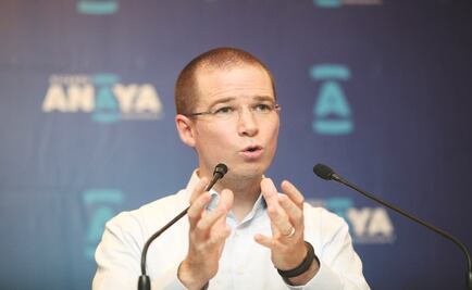 PAN confirma a interino en Sinaloa tras "chapodiputada"