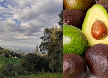 31 de julio: ¿qué se celebra el último día del mes?; estas son las efemérides del jueves
