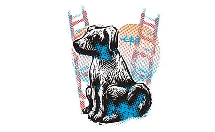 El hombre que amaba a los perros