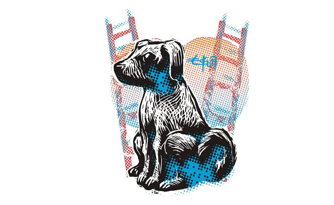 El hombre que amaba a los perros