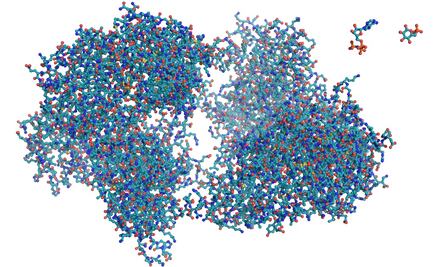 Investigadores de la UNAM estudian el proteoma humano