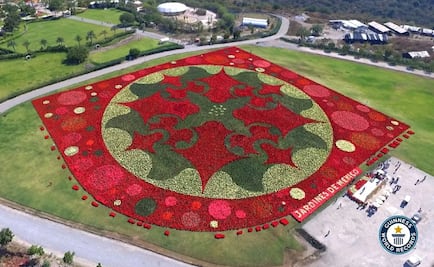 Teotihuacán rompe Récord Guinness con Tapete Floral más grande del mundo