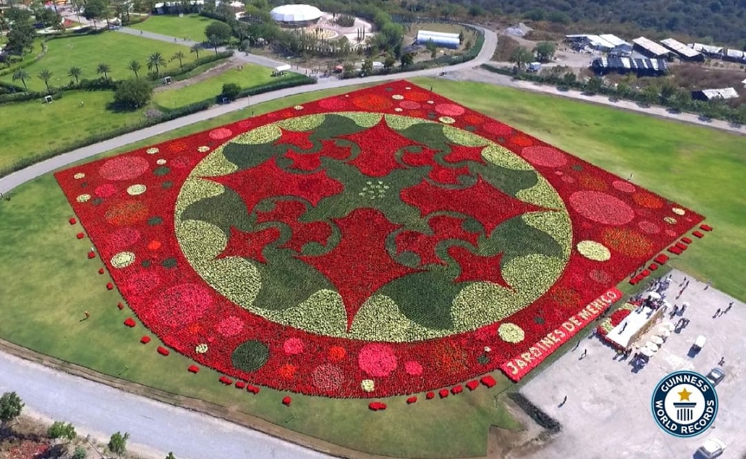 Tapete Floral en Teotihuacán (Foto tomada de Twitter: @jardinesdemex)