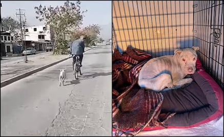 Sujeto en bicicleta arrastra a perrita amarrada del cuello en Escobedo, Nuevo León; autoridades investigan