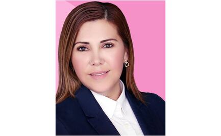 Diputada federal Nohemí Alemán se da de baja del PAN, para integrarse a Morena