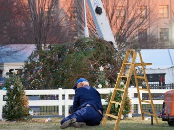 ¿Se cayó como Biden?: fuertes vientos derriban árbol de Navidad de la Casa Blanca y se desatan los memes