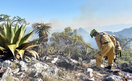 Sube a 830 hectáreas consumidas por tres incendios forestales en Nuevo León
