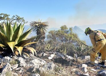 Sube a 830 hectáreas consumidas por tres incendios forestales en Nuevo León