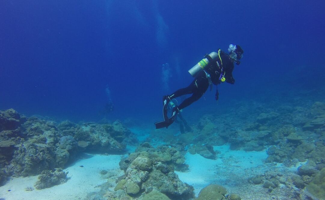 Imagen ilustrativa de buceo / Foto: Pixabay