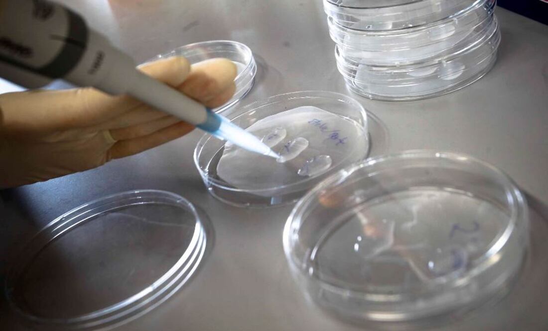 Los CDC describieron un caso registrado en noviembre y diciembre de 2022 cuando dos hospitales en Colorado atendieron a una mujer de 30 a 39 años de edad que sufría meningitis. Foto: Archivo