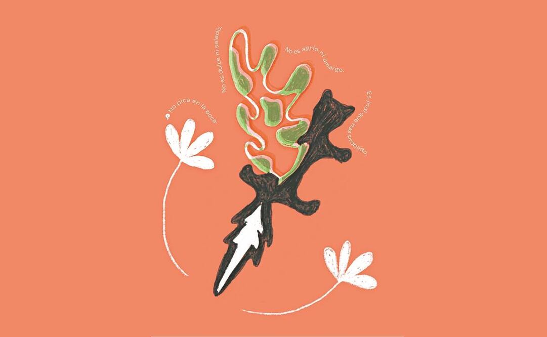 Mediante ilustraciones y breves textos, el libro explica palabras o conceptos de diferentes lenguas. Fotos: Imágenes del libro “Intraducibles”